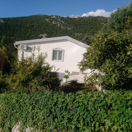 Blue Horizon Apartment Добра вода Екстериор снимка